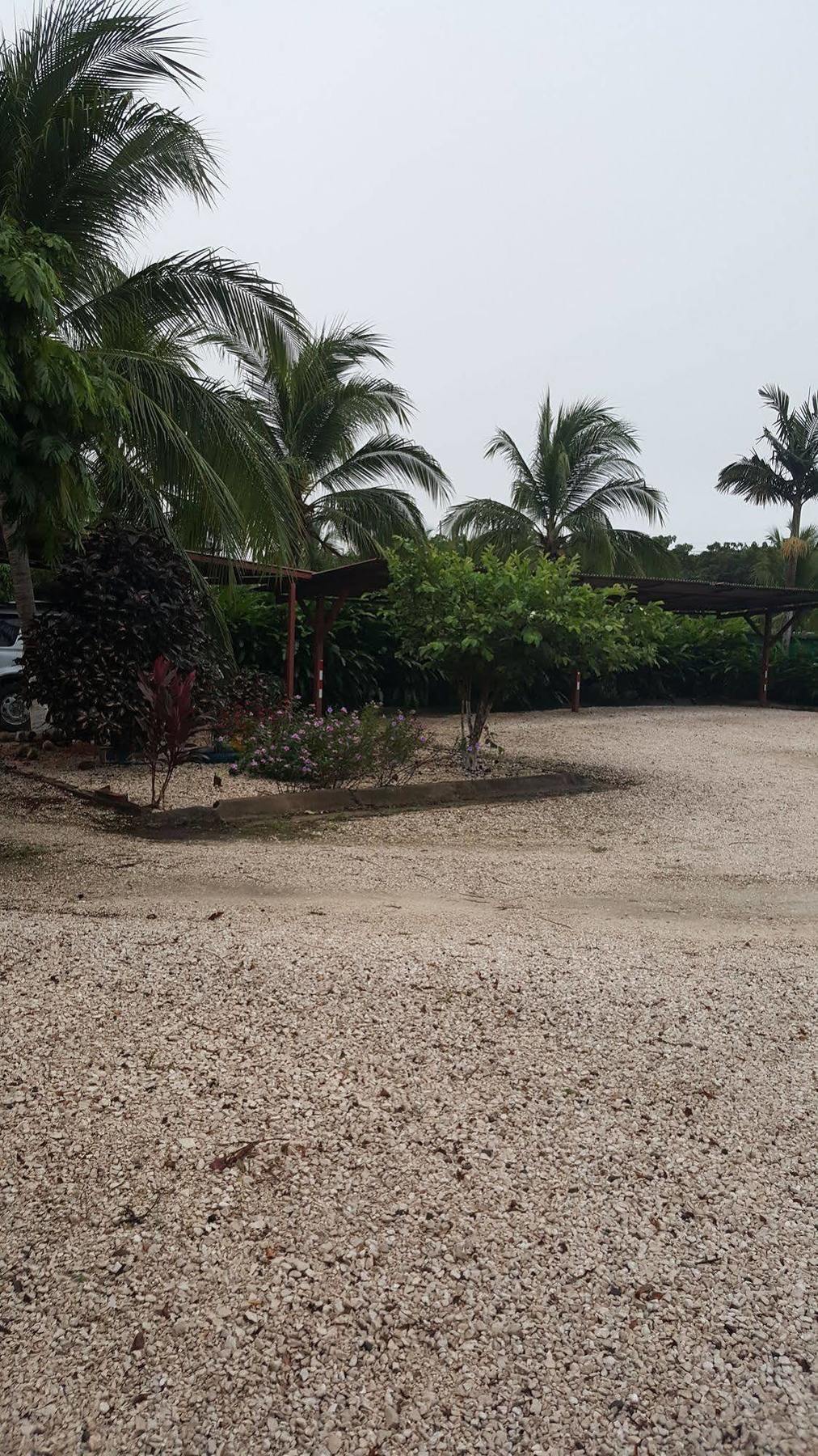 Hotel La Arena Liberia Extérieur photo